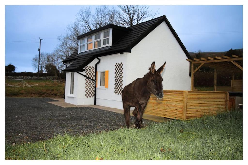 Killeavy Cottage Meigh Exteriör bild