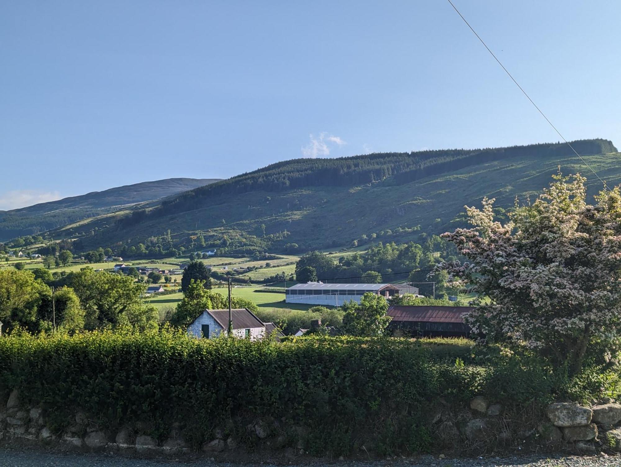 Killeavy Cottage Meigh Exteriör bild