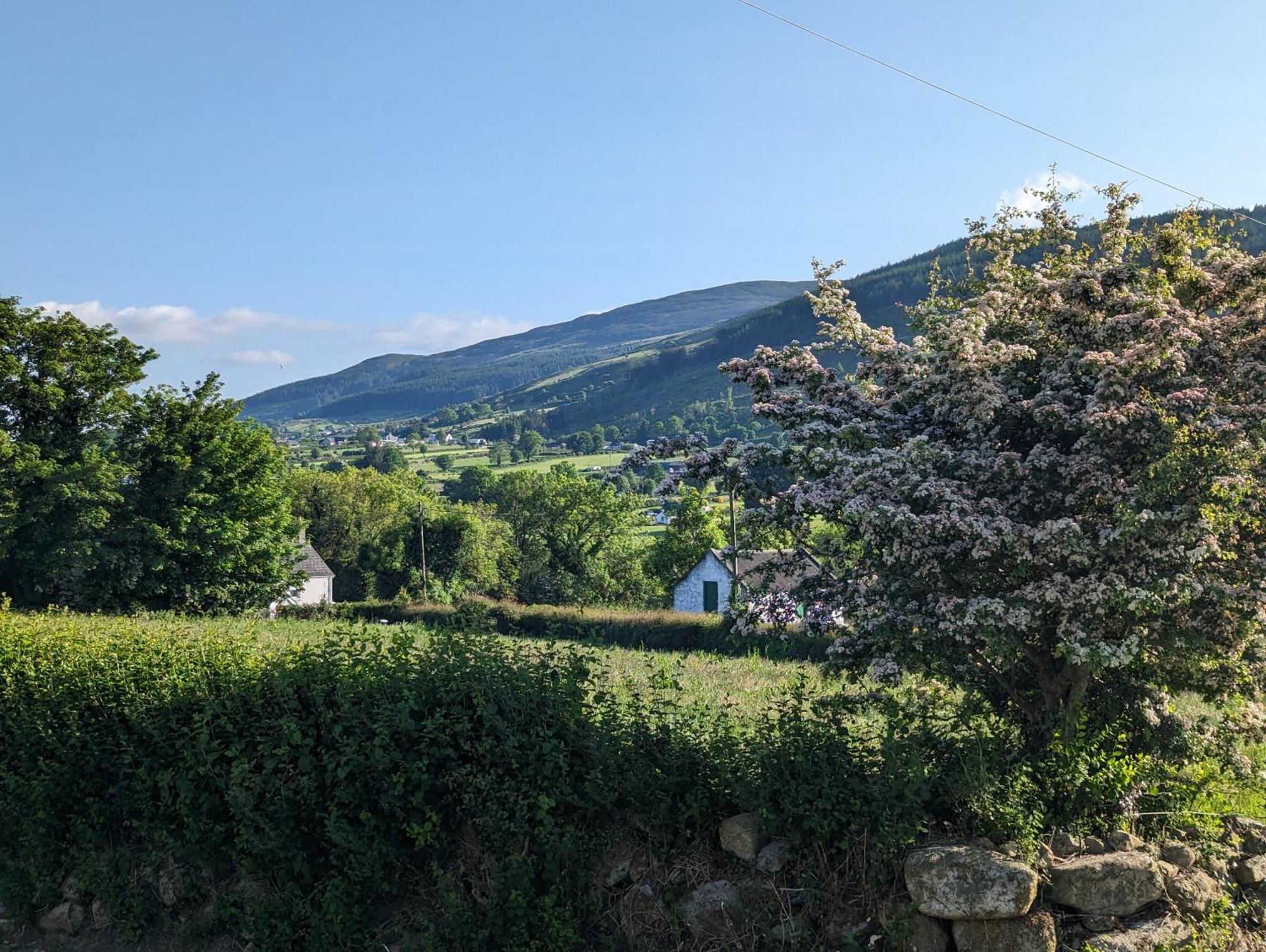 Killeavy Cottage Meigh Exteriör bild