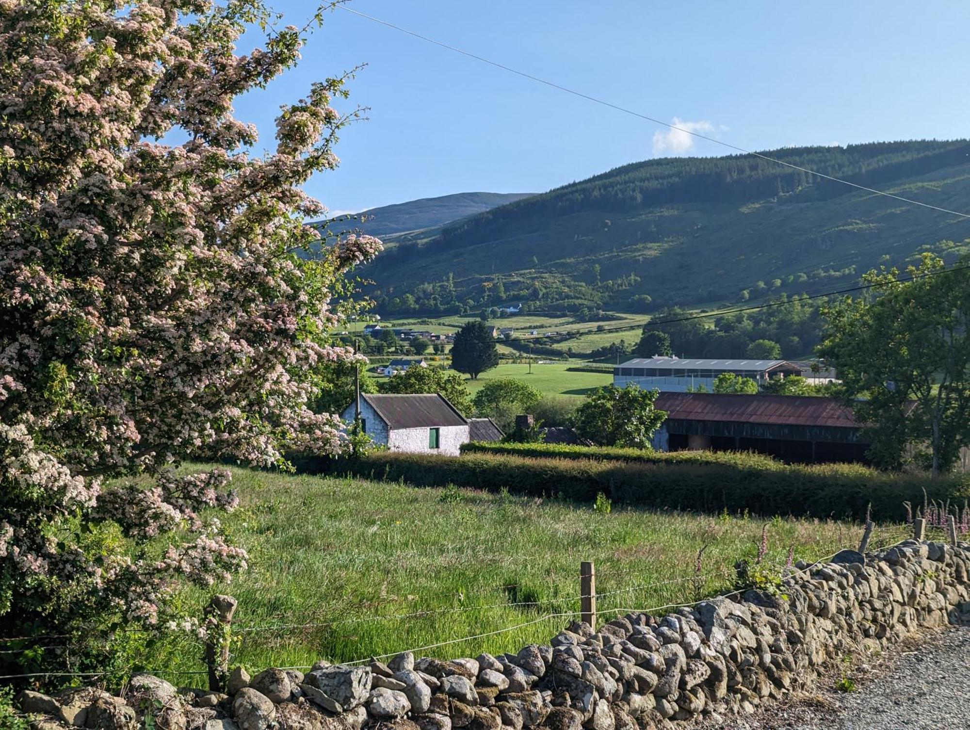 Killeavy Cottage Meigh Exteriör bild