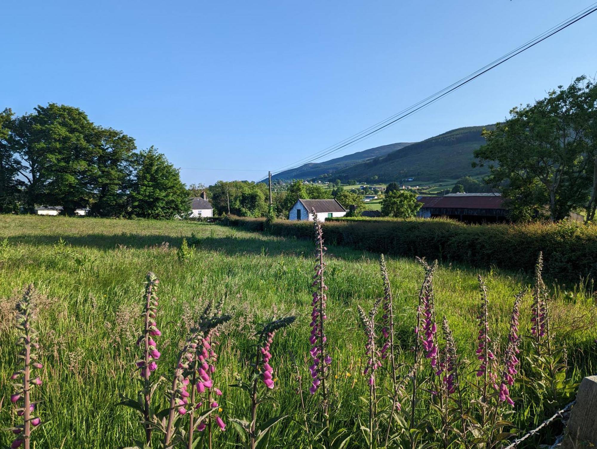 Killeavy Cottage Meigh Exteriör bild